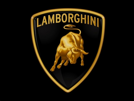 Lambo Cage