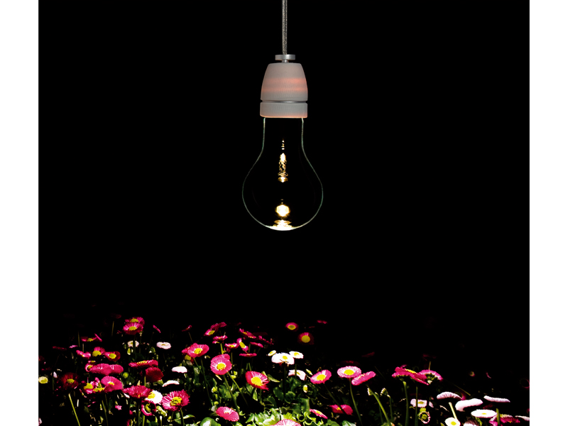 Bulb Trilogy