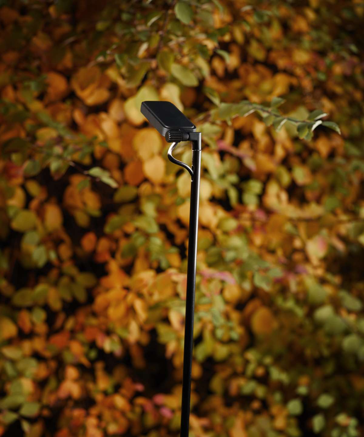 Outdoor collection @ Luceplan