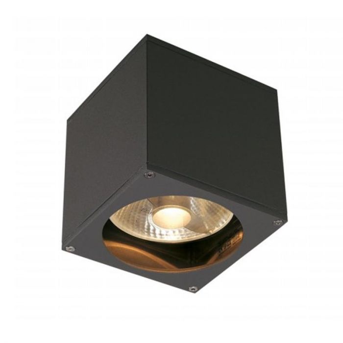 SLV by Output Big Theo Wall Out Outdoor Wall Lighting anthracite