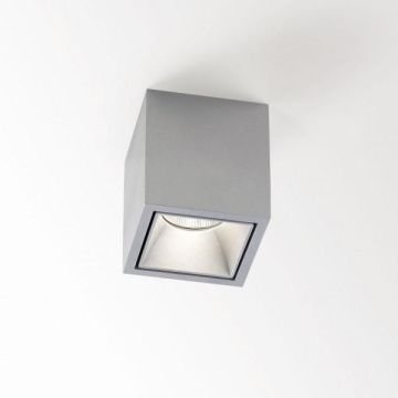Delta Light BOXY L+ 92733 DIM8 Plafond Tuinverlichting lichtgrijs-1