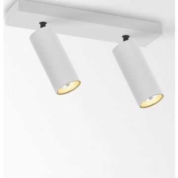 Delta Light SPY 39 ON 2 92740 DIM8 W-W Spot wit-1